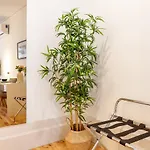 D&s - Falling Leaves Appartement *