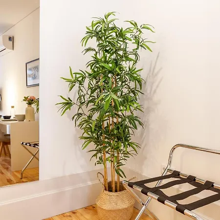 D&s - Falling Leaves Apartment *